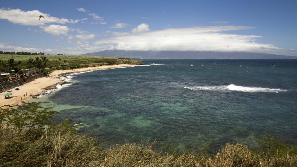 Birds fly over Ho'okipa Beach Park in Paia, Maui, Hawaii July 31, 2015. Pic: Reuters