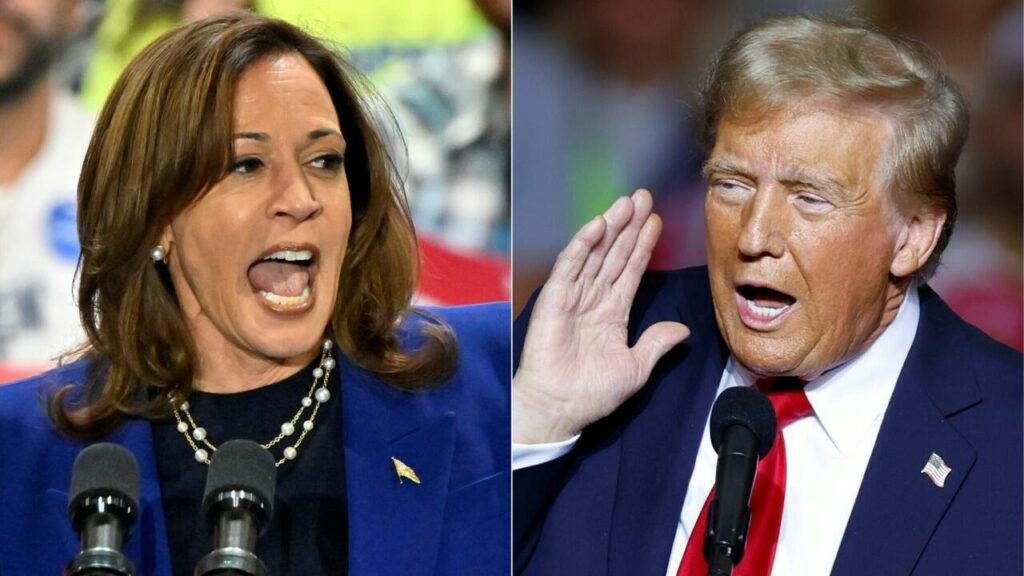 Fin de campagne anxiogène pour Kamala Harris et Donald Trump