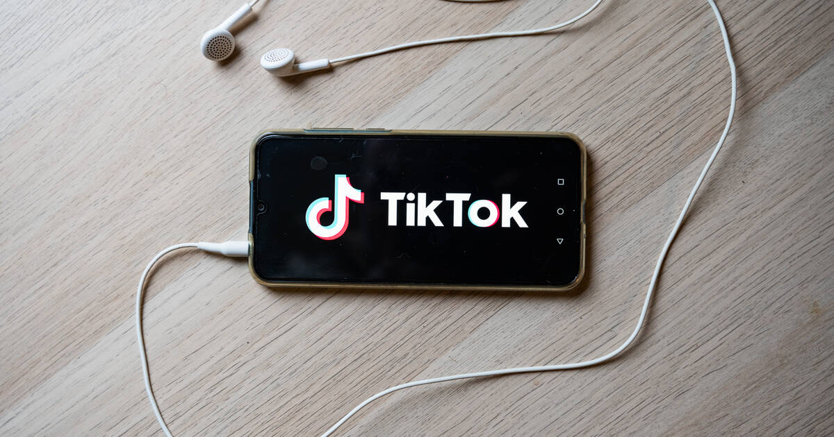 TikTok : après le suicide de deux adolescentes, sept familles françaises assignent le réseau social en justice