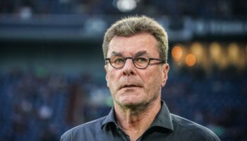 Fußballbundesliga : Dieter Hecking ist neuer Trainer des VfL Bochum