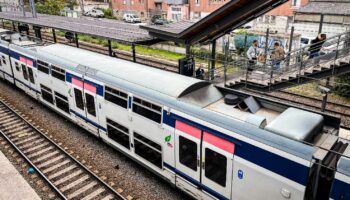 Quatre personnes blessées à coups de hache dans le RER E en gare d'Ozoir-la-Ferrière, un mineur interpellé