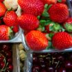 À Noël, vous ne trouverez pas de fraises et cerises à Intermarché et c’est voulu