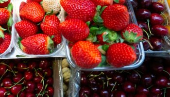 À Noël, vous ne trouverez pas de fraises et cerises à Intermarché et c’est voulu