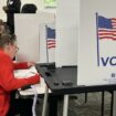 Présidentielle américaine : dans le Michigan, le vote des femmes au cœur d'un scrutin historique