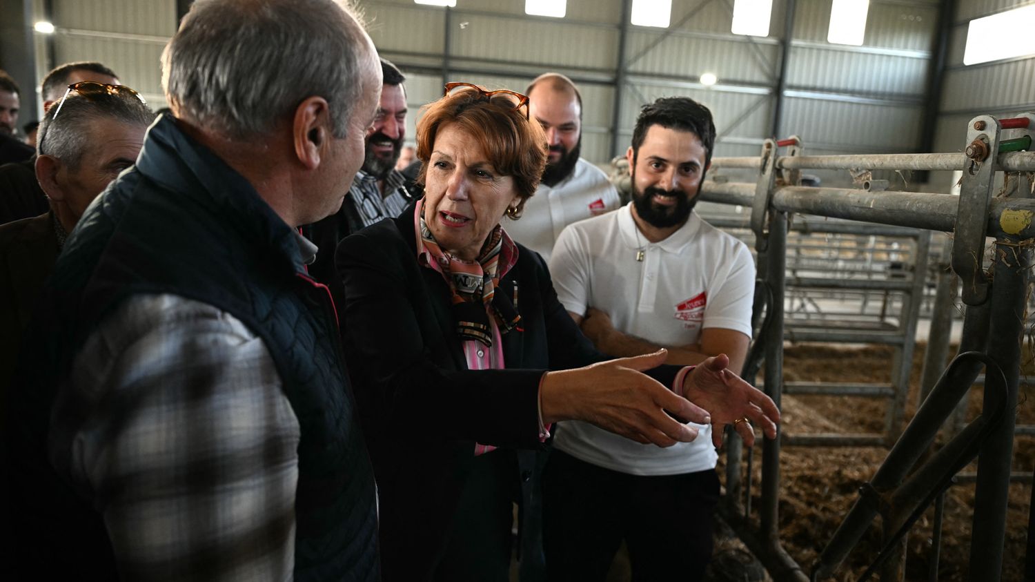 Fièvre catarrhale ovine : la France commande 2 millions de doses de vaccin supplémentaires pour juguler l'épidémie