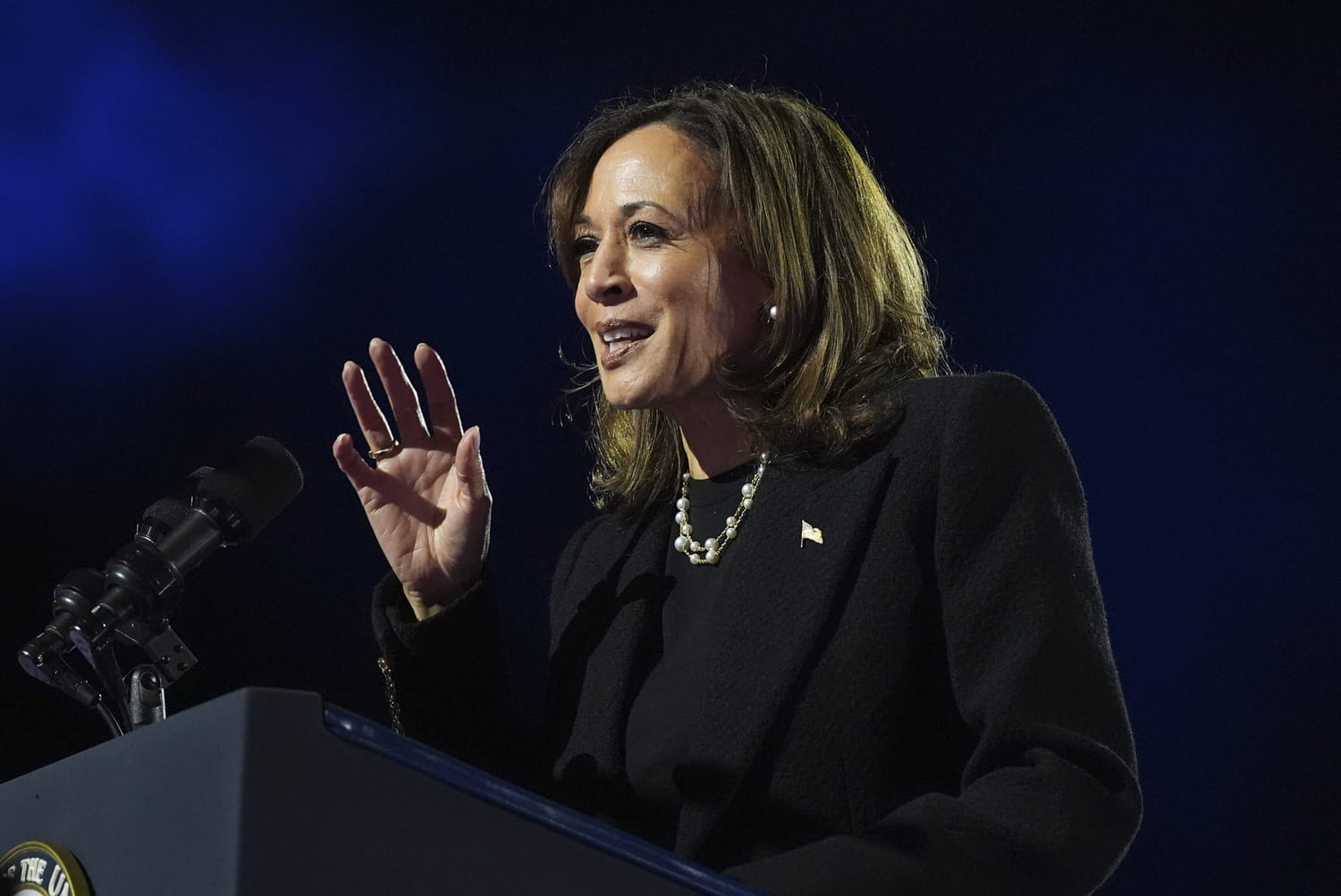 Programme de Kamala Harris : économie, politique internationale, écologie... quelles sont les mesures clés proposées par la candidate démocrate ?