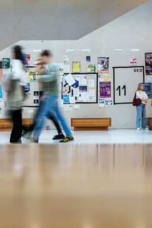 Hochschulen: Zahl der Studiengänge steigt auf Rekordwert