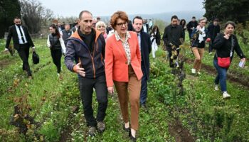 Le gouvernement annonce des aides de trésorerie pour les agriculteurs en difficulté