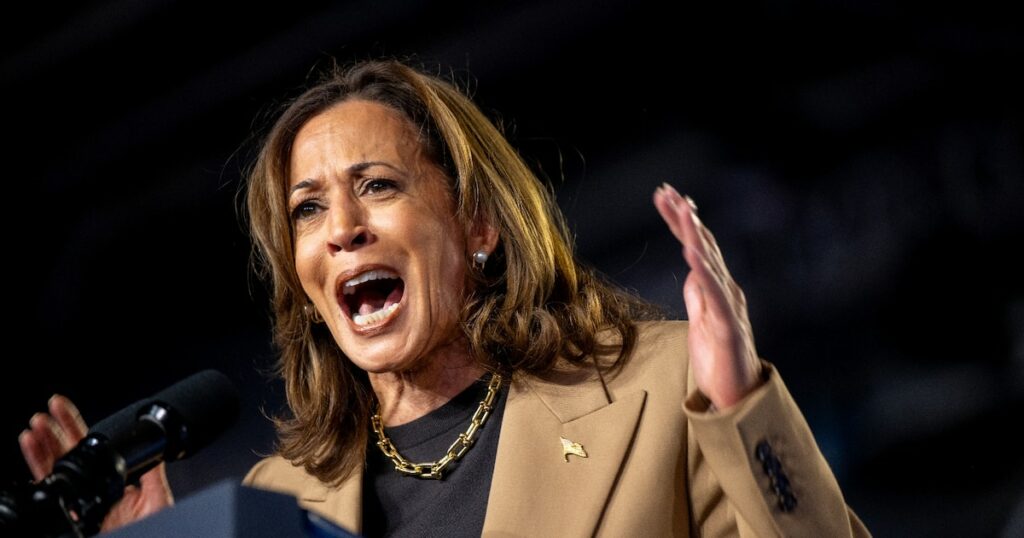 Kamala Harris lors d'un meeting à Chandler, en Arizona, le 10 octobre 2024