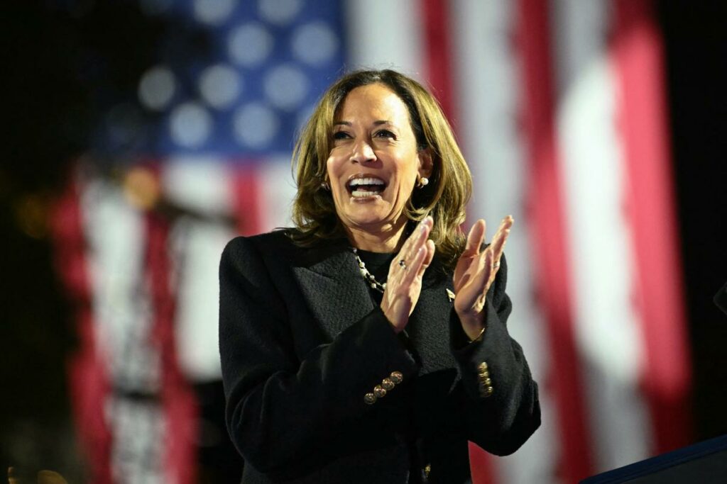 Election américaine 2024 : immigration, économie, avortement… Quel est le programme de Kamala Harris ?