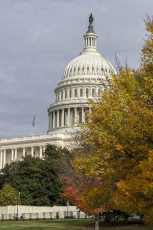 Police arrest man at US Capitol smelling of fuel who had manifesto, flare gun and blow torch