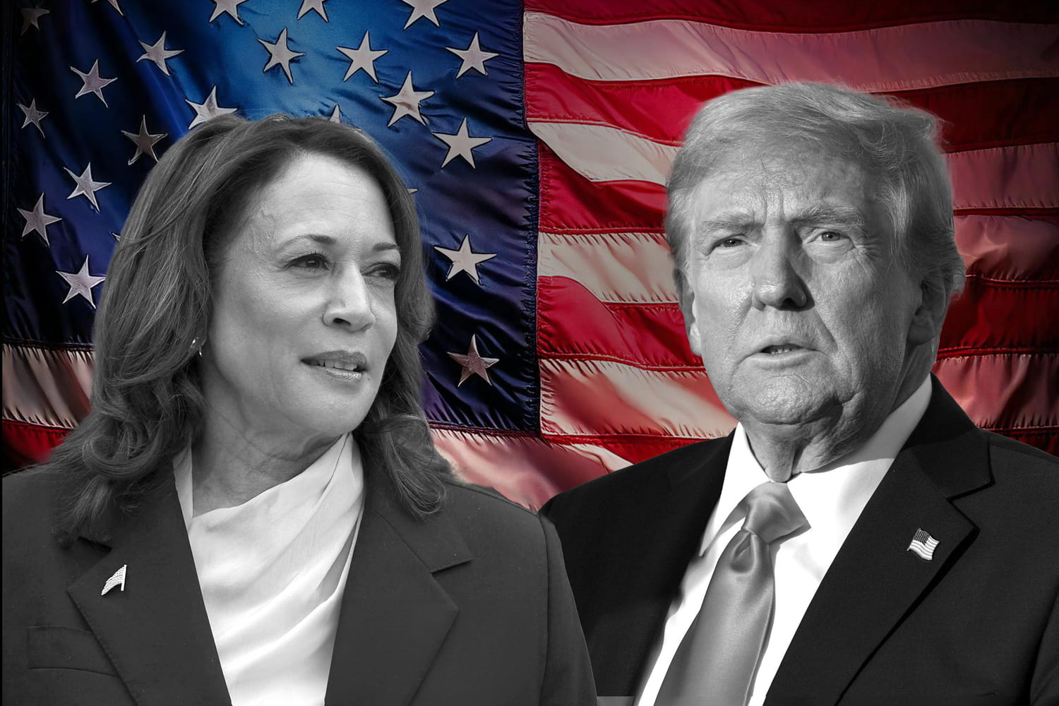 Résultat de l'élection américaine, en direct : 54% pour Trump face à Harris, les "chances de gagner" se précisent