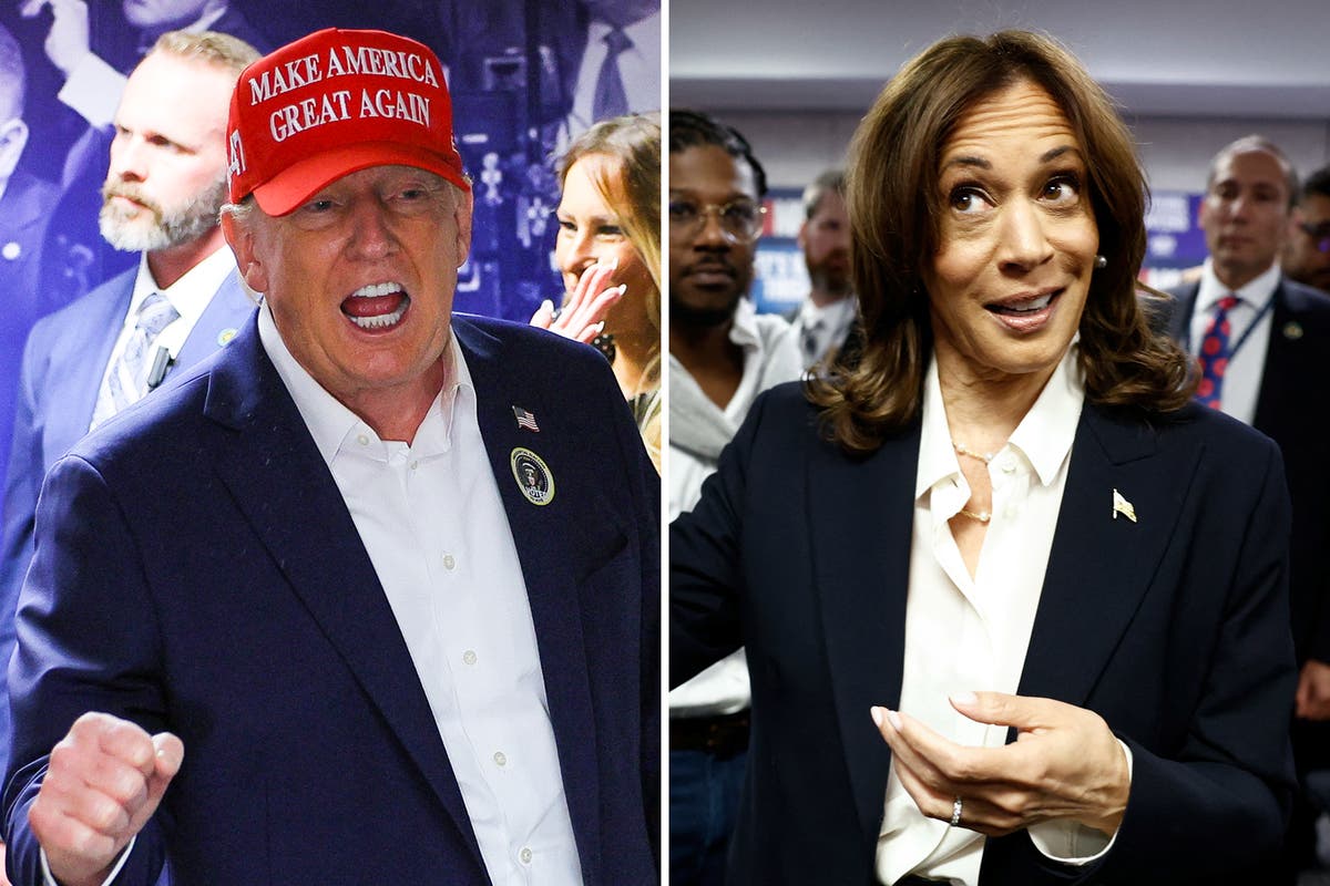 Election 2024 live results: Latest Trump vs Harris presidential race news and polls