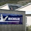 Fermeture de l'usine Michelin à Vannes : "On ne trouve pas un repreneur en quatre mois sur une superficie aussi importante", estime le maire