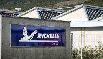 Fermeture de l'usine Michelin à Vannes : "On ne trouve pas un repreneur en quatre mois sur une superficie aussi importante", estime le maire