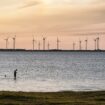 Wegen Russland: Schweden stoppt Windparks in der Ostsee