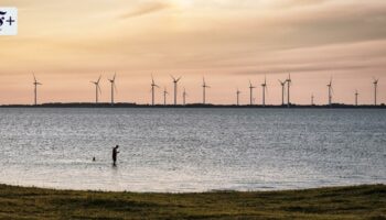 Wegen Russland: Schweden stoppt Windparks in der Ostsee