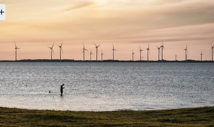 Wegen Russland: Schweden stoppt Windparks in der Ostsee