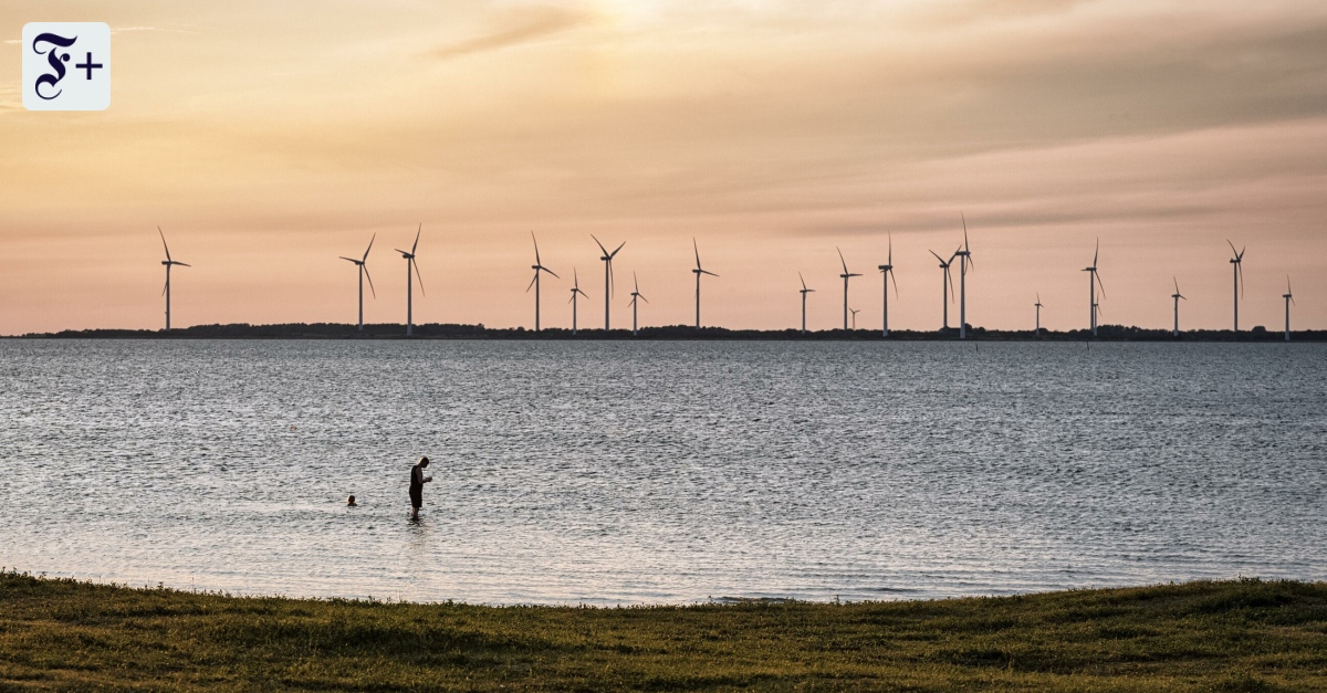 Wegen Russland: Schweden stoppt Windparks in der Ostsee