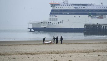 Dans le Pas-de-Calais, quatre corps découverts en mer et sur une plage en deux jours