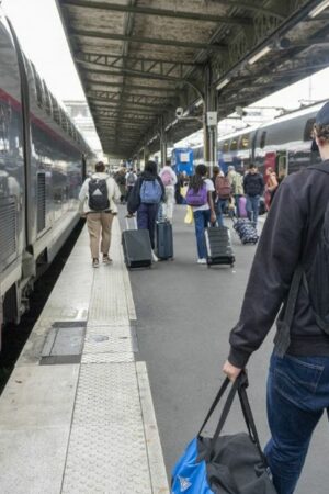 Temps de trajet, villes non desservies, travaux de rénovation... Ce qui attend les voyageurs de la ligne TGV Paris-Lyon pour le week-end du 11 novembre