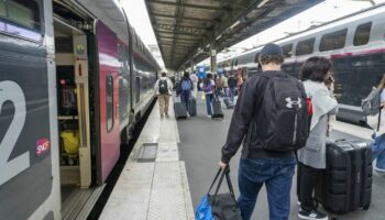 Temps de trajet, villes non desservies, travaux de rénovation... Ce qui attend les voyageurs de la ligne TGV Paris-Lyon pour le week-end du 11 novembre