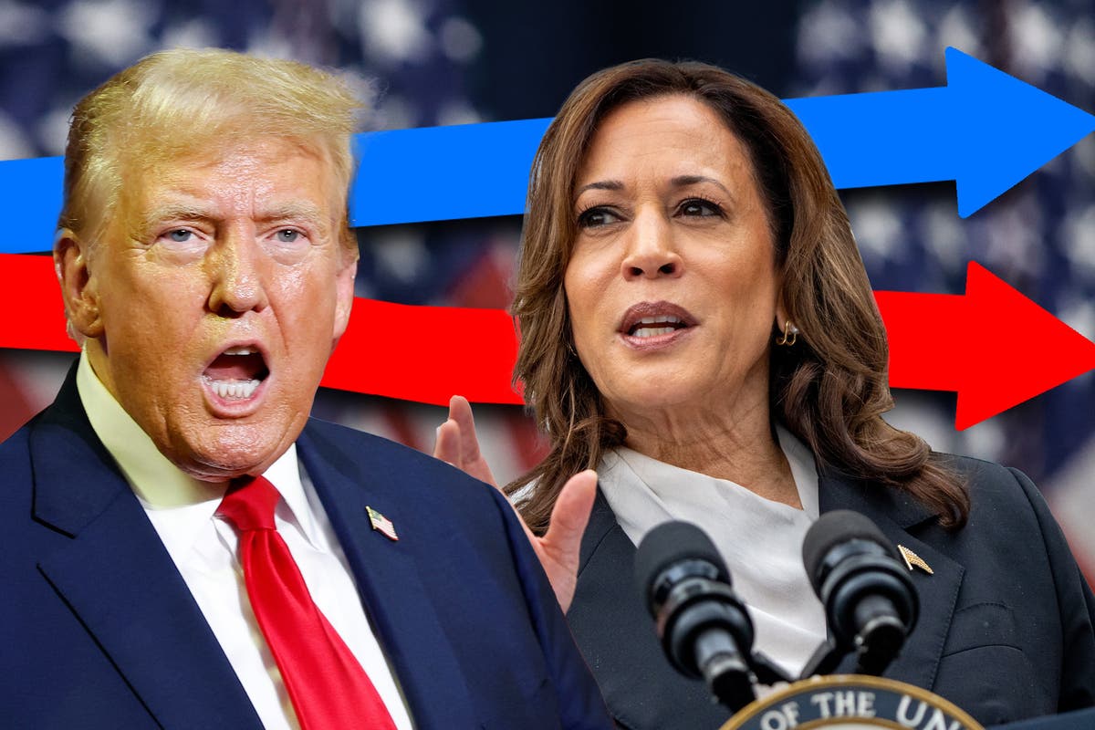 Trump vs Harris: Live election 2024 results map as Trump defeats Harris to win presidency