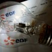 EDF a souffert de vastes dépréciations d'actifs au premier semestre, mais a pu limiter la baisse de ses résultats grâce à l'allongement de la durée de vie comptable de certains réacteurs