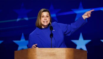 Fox News projects Democrats hold onto key seat in battleground Michigan