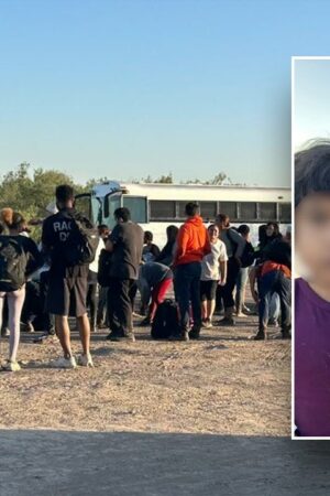 Young siblings discovered with address on piece of paper among massive group of illegals at border