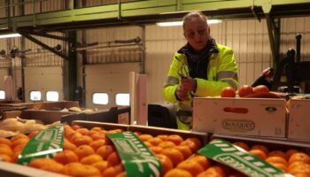 Inondations en Espagne : quel impact sur les fruits et légumes vendus en France ?