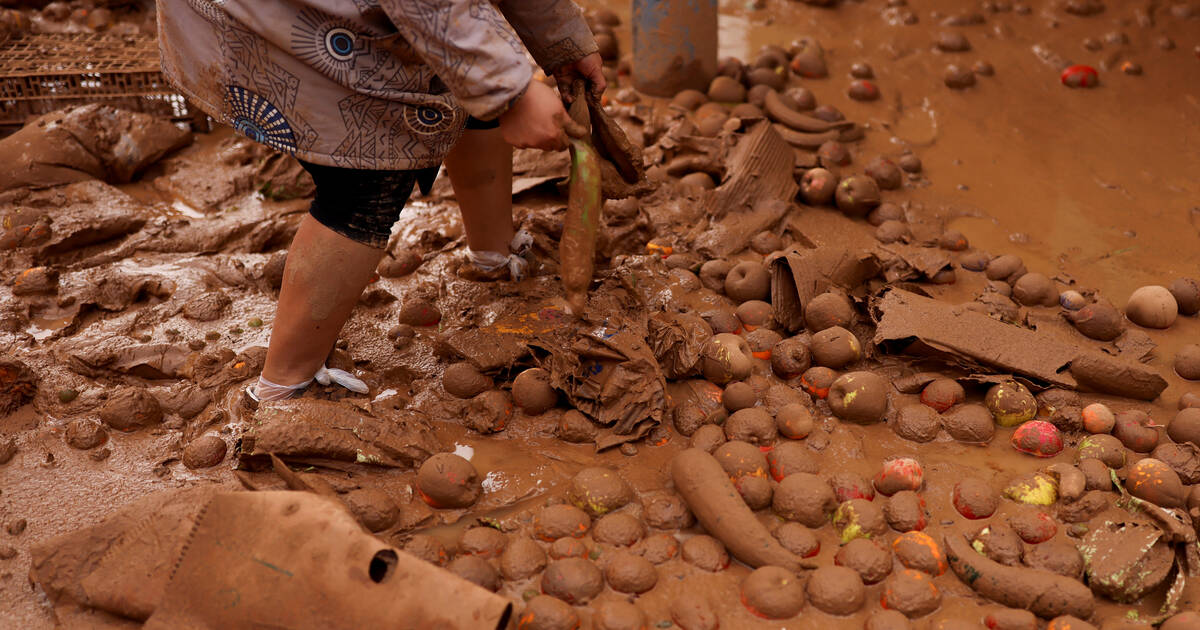 Kakis, oranges, mandarines… Cultures du sud de l’Espagne ravagées par les inondations : quelles conséquences pour les étals français ?