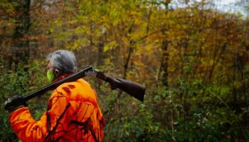 Des habits fluo pour les randonneurs en période de chasse ? Le gouvernement « dément cette rumeur »