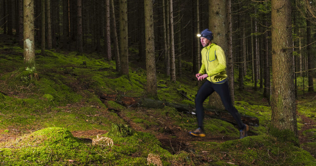 Chasse : non, il ne faudra pas s’habiller en fluo pour aller se promener en forêt