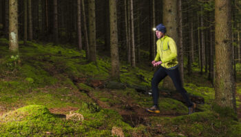 Chasse : non, il ne faudra pas s’habiller en fluo pour aller se promener en forêt