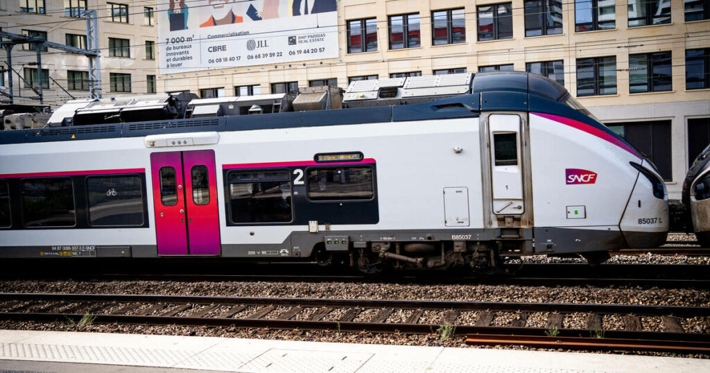 Agression à la hache dans le RER E : quatre mineurs mis en examen et écroués