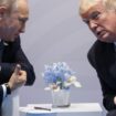 Liveblog zur US-Wahl 2024: Trump erwägt Kontakt mit Putin: „Ich denke, wir werden sprechen“