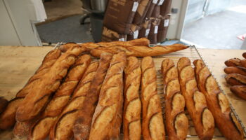 Nouveau prix record de la baguette, la vôtre est-elle plus chère qu'ailleurs en France ?