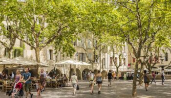 « Des Français à la retraite, des Américains, des Suédois… » : une nouvelle clientèle fortunée porte le marché à Uzès