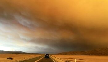 « Le Déluge », par Stephen Markley : vers un avenir sombre (qui est déjà du passé)