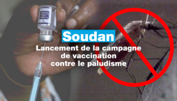 Le Soudan lance sa campagne de vaccination contre le paludisme