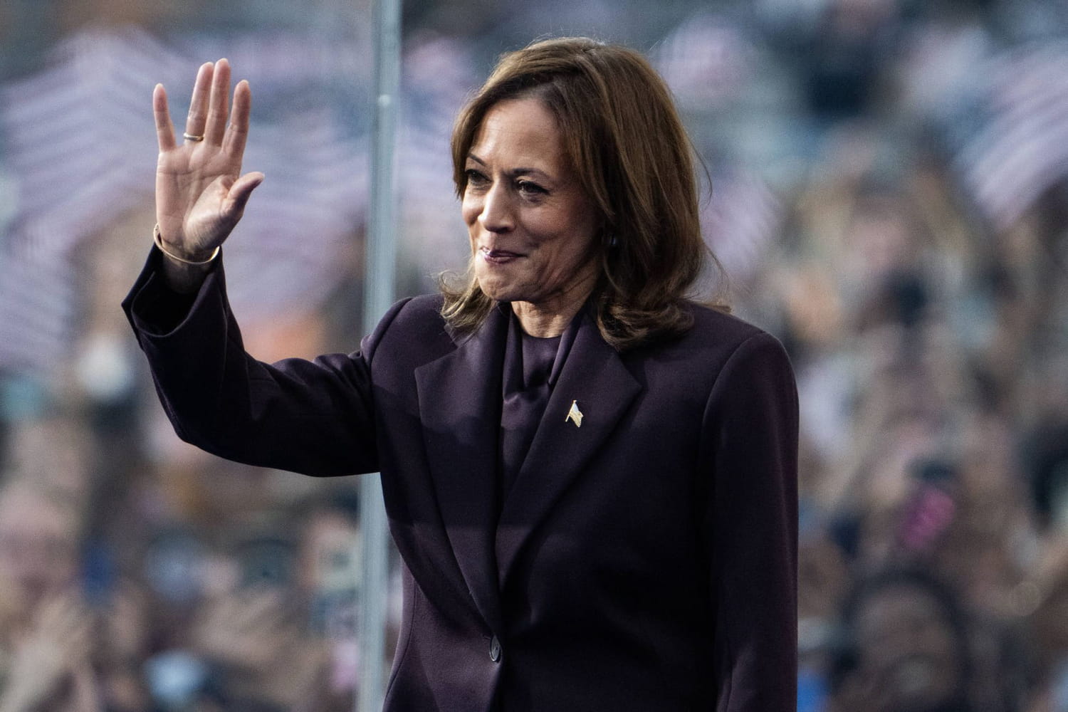 Présidentielle américaine : quel avenir pour Kamala Harris ?