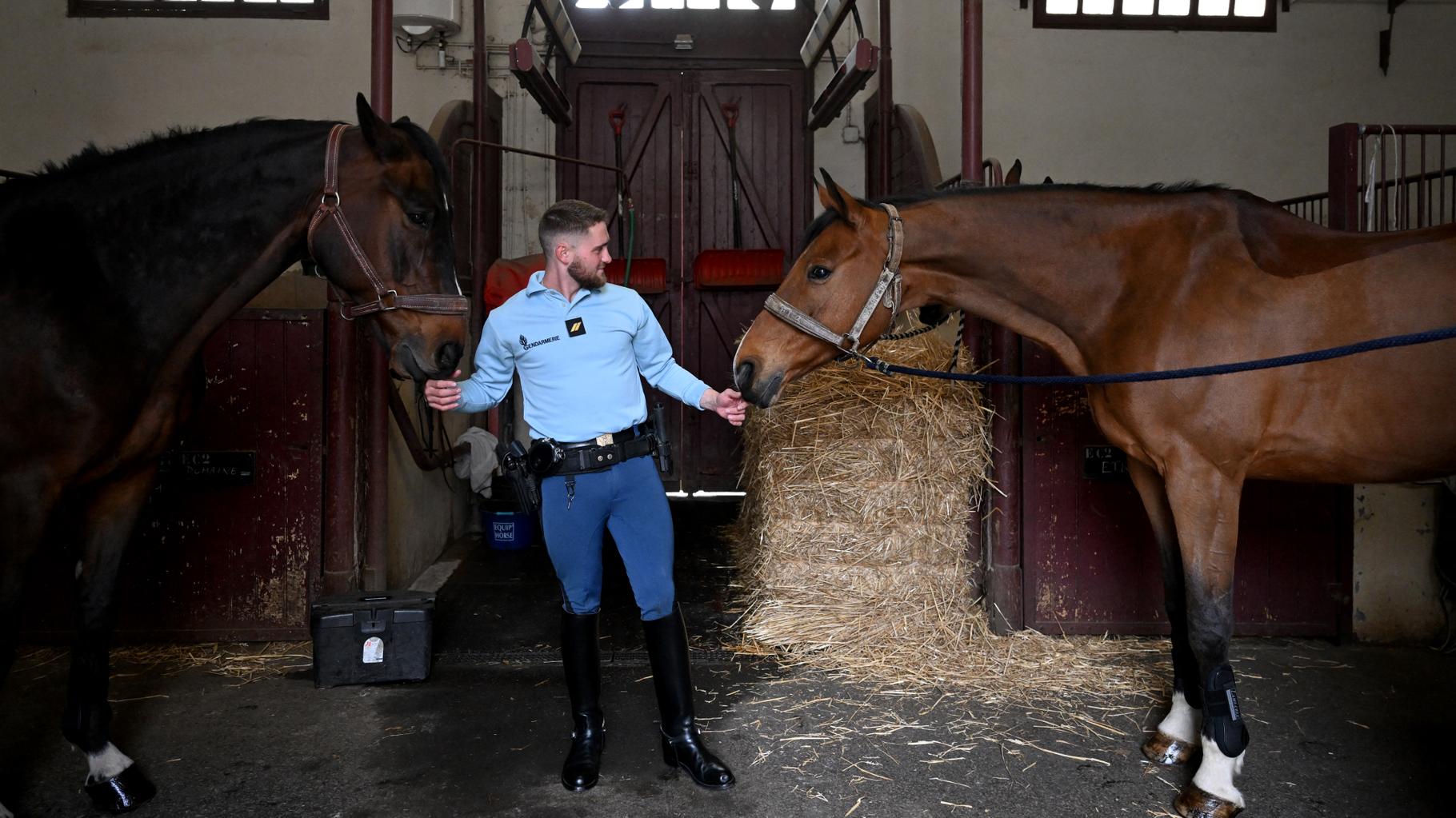 Ces quatre chevaux de la Garde républicaine vont recevoir une médaille militaire le 11 novembre