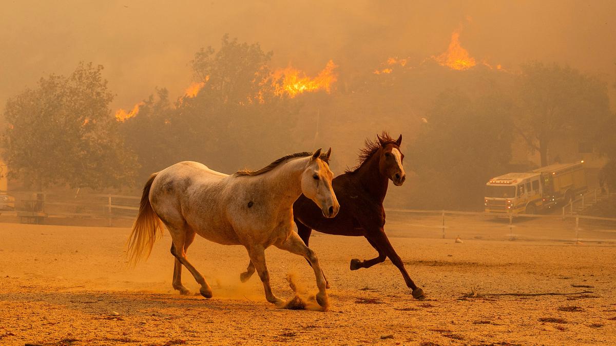 Feuerwehr ist machtlos gegen Waldbrände in Kalifornien