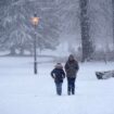 Met Office gives verdict on UK snow forecast after reports of four-day ‘arctic blast’