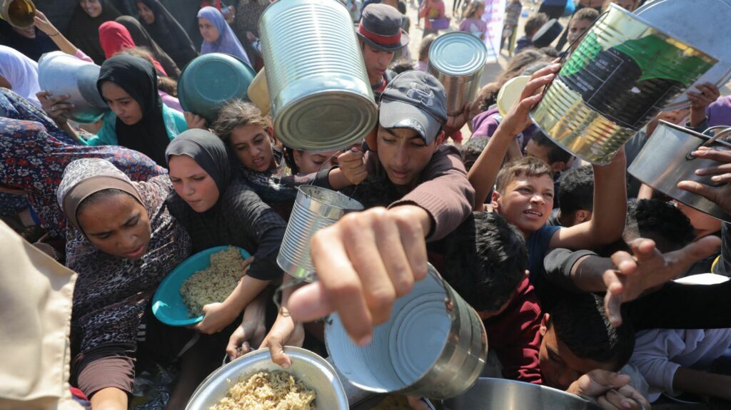 Guerre au Proche-Orient : le nord de la bande de Gaza est au bord de la famine, alerte l'ONU