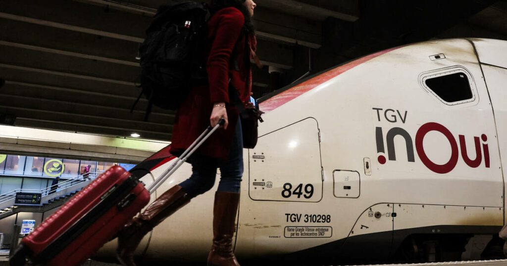 Chat écrasé gare Montparnasse : la SNCF finalement relaxée