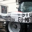 Colère des agriculteurs : le traité de libre-échange entre l'UE et le Mercosur remet le feu aux poudres malgré l'annonce d'aides