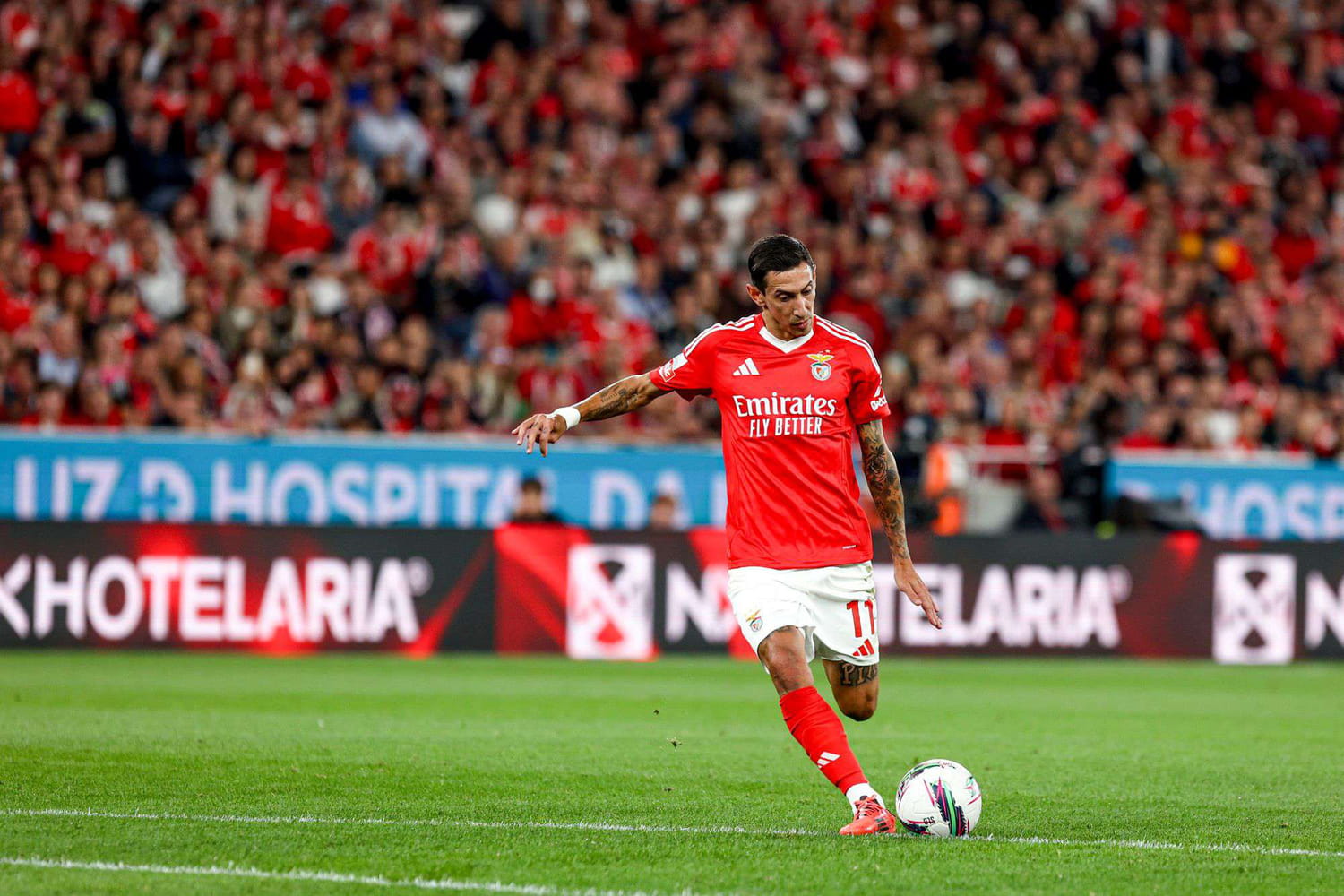 Benfica - Porto : derrière l'imbattable Sporting, la quête du championnat terminée pour le vaincu ?