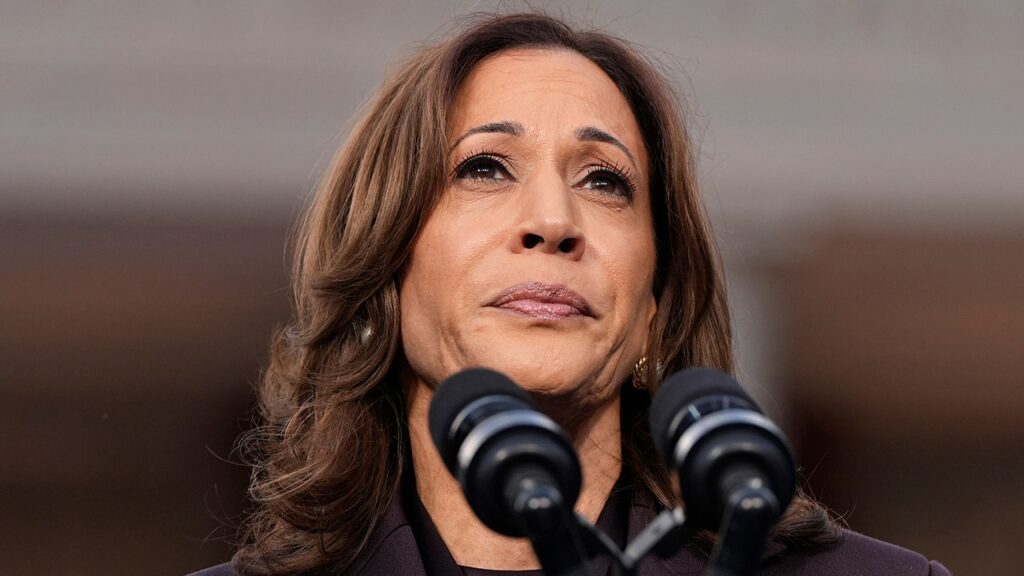 Here are the top 5 Democrats who could lead the party after Kamala’s fall